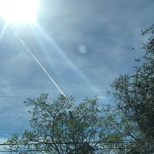 Meet your Posher, Willa